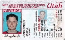 Utah Driving Privilege Card